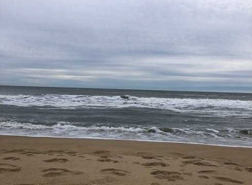 Beach Tennis Maryland