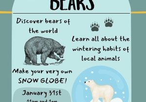 Tots- To - Teens with Bears