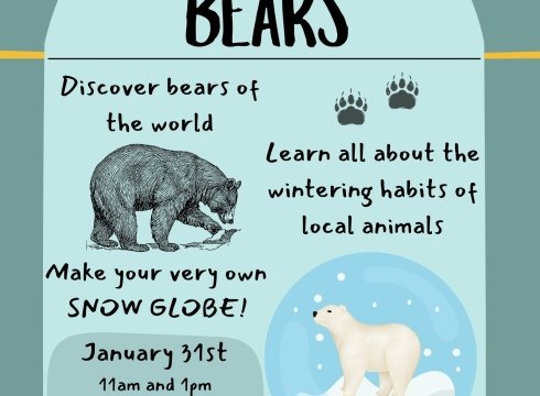 Tots- To - Teens with Bears