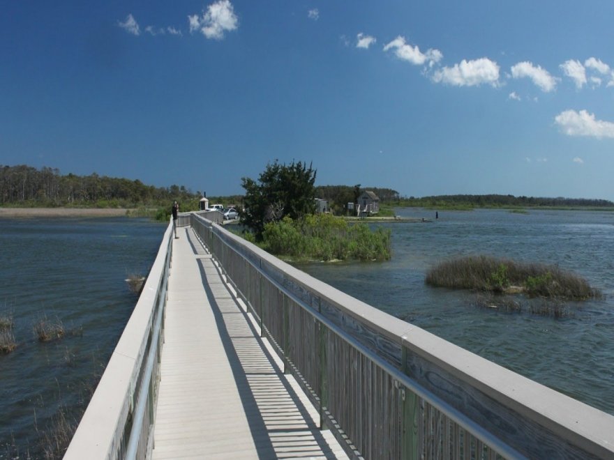 Assateague State Park