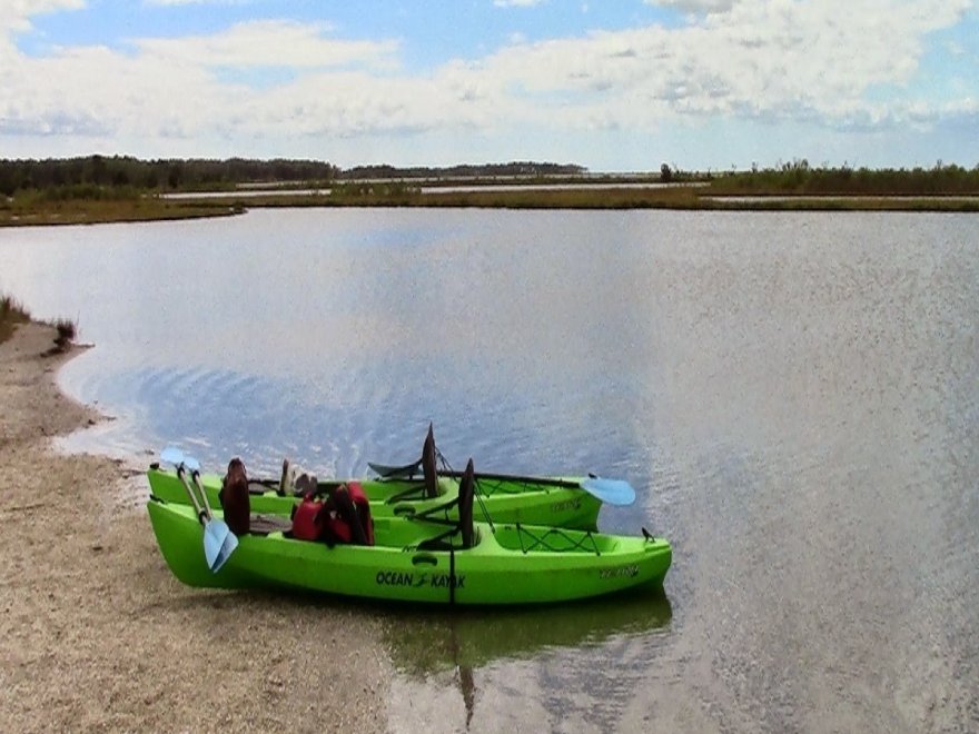 Assateague State Park