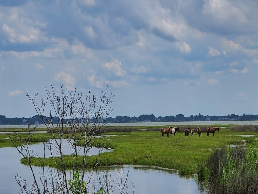 Assateague State Park