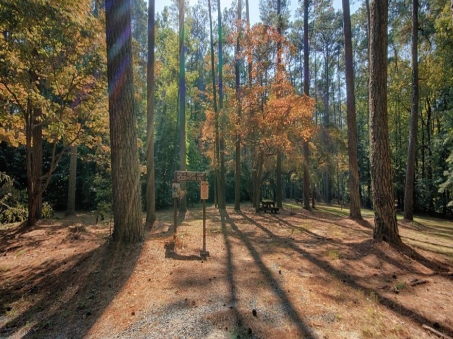 Pocomoke River State Park: Milburn Landing