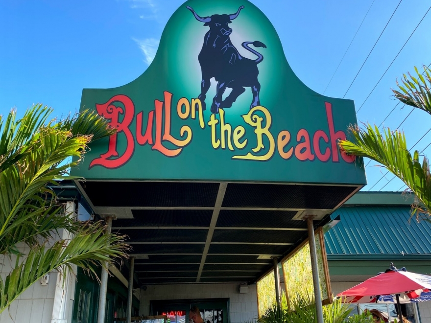 Bull on the Beach