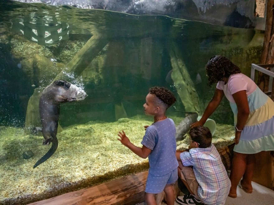 Delmarva Discovery Museum Delmarva Discovery Museum