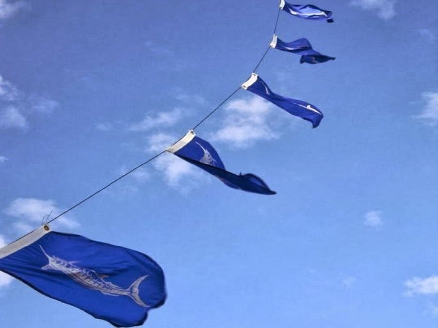 Wrecker Sport Fishing Wrecker Sport Fishing