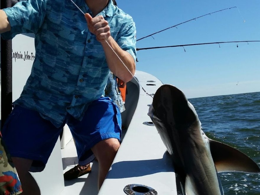 Ocean City Guide Service Ocean City Guide Service