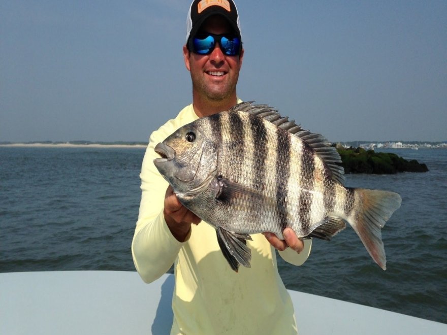 Ocean City Guide Service Ocean City Guide Service