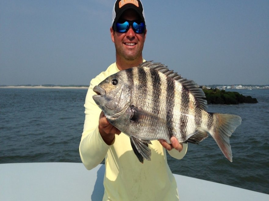 Ocean City Guide Service Ocean City Guide Service