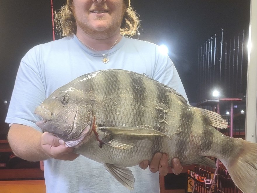 Oceanic Fishing Pier Oceanic Fishing Pier