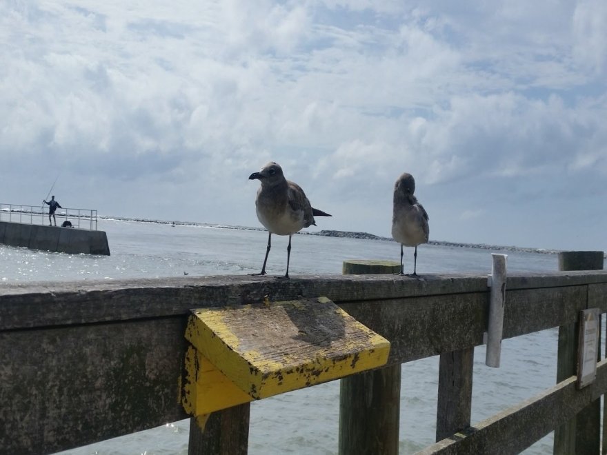 Oceanic Fishing Pier Oceanic Fishing Pier