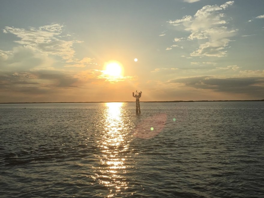 OC Swim Call OC Swim Call