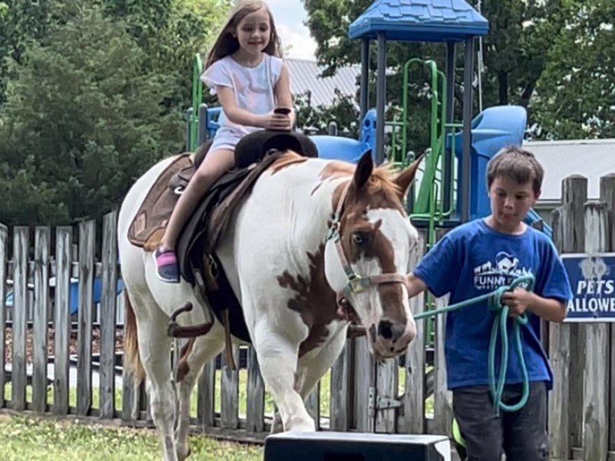 Funny Farm Petting Zoo