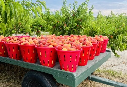 Maryland's Coast Agriculture Week