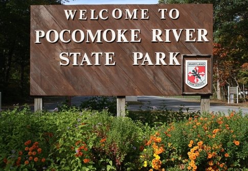 Pocomoke River State Park: Shad Landing vs. Milburn Landing